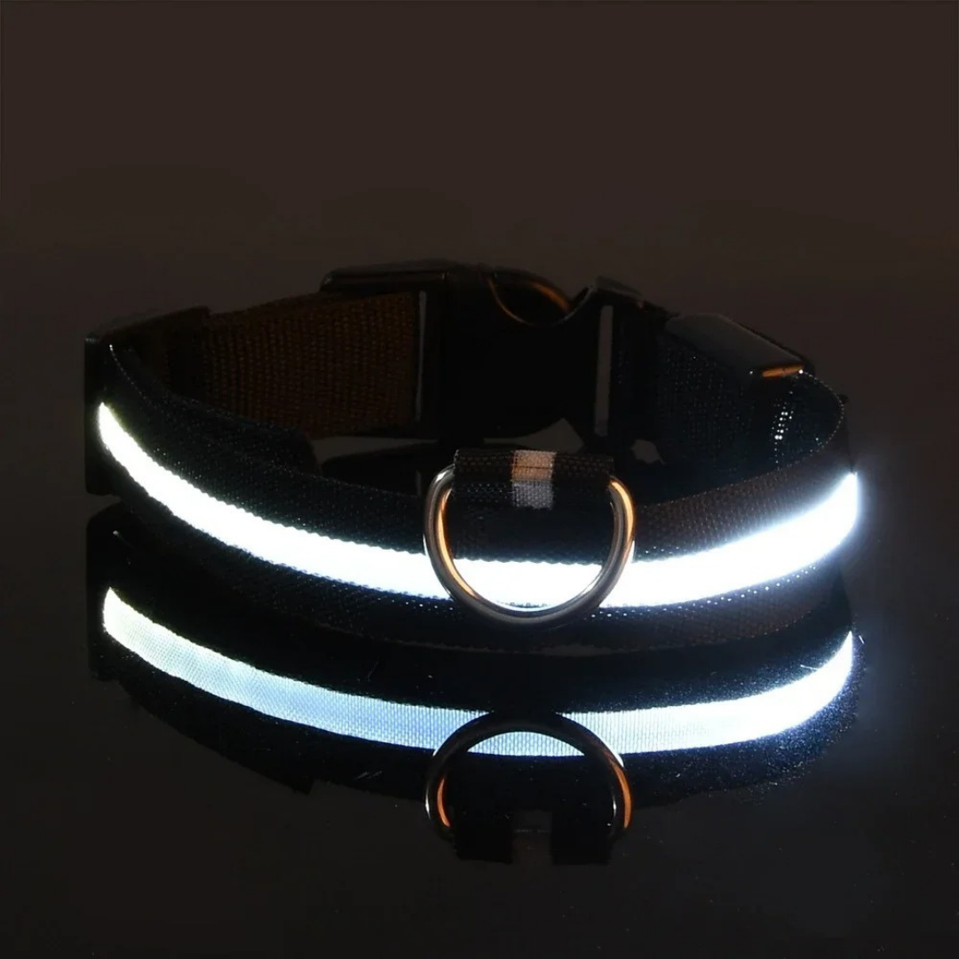 GlowPet™ LED Collar - Rechargeable