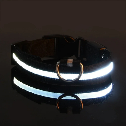 GlowPet™ LED Collar - Rechargeable