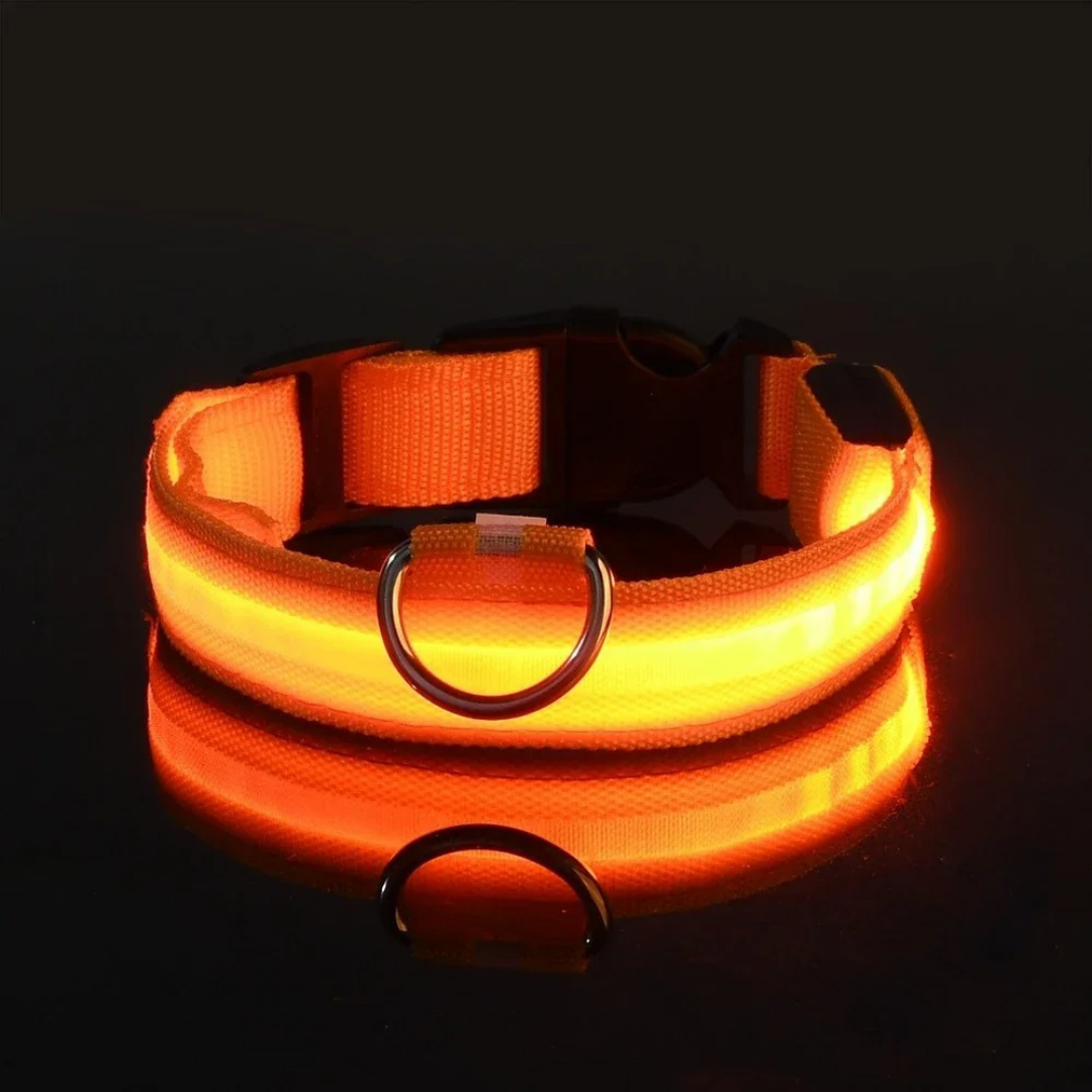 GlowPet™ LED Collar - Rechargeable