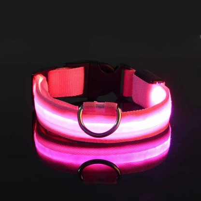 GlowPet™ LED Collar - Rechargeable