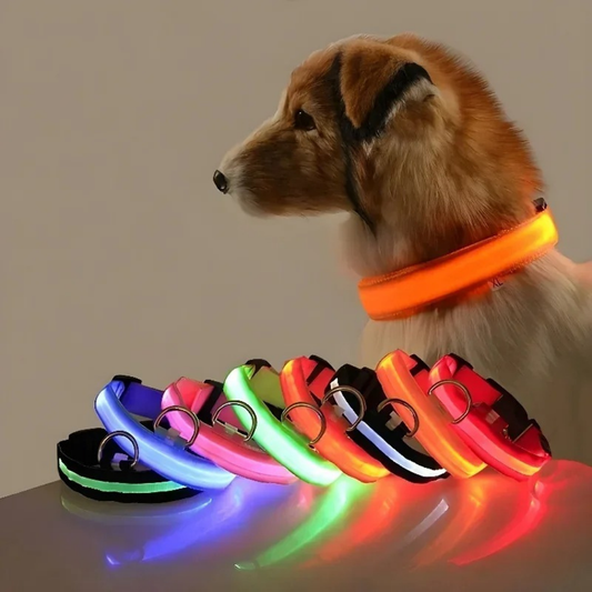 Collier LED GlowPet™
